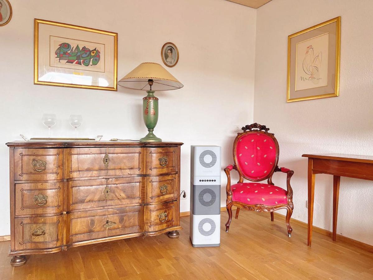 Grosszuegige Wohnung, Bergblick, Vintage Зонтхофен Экстерьер фото